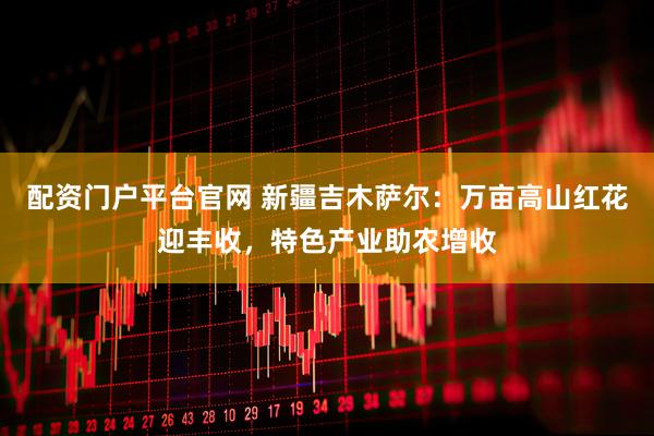 配资门户平台官网 新疆吉木萨尔：万亩高山红花迎丰收，特色产业助农增收